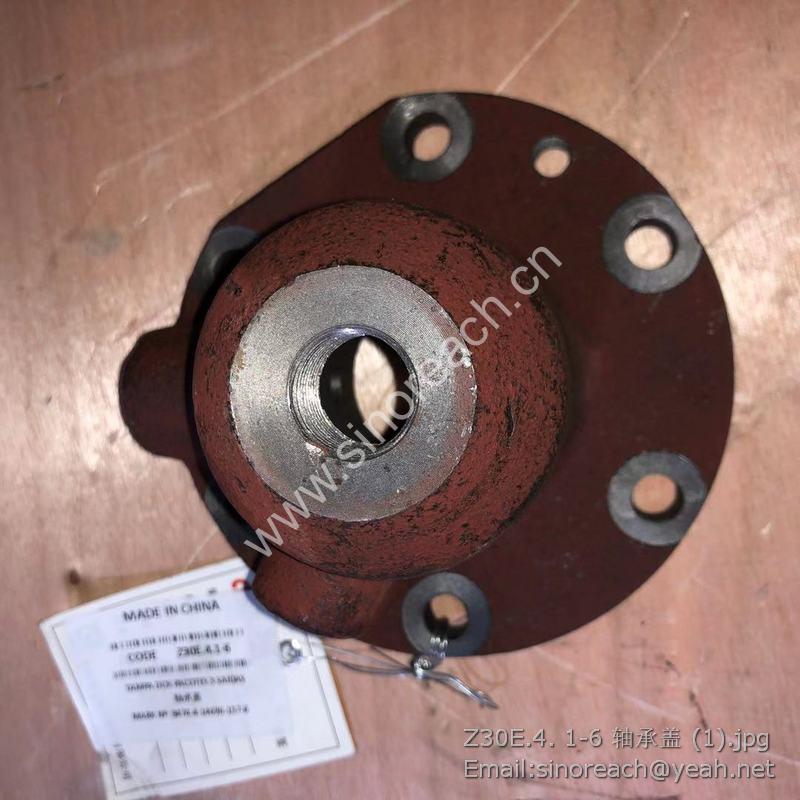 Z30E.4. 1-6 轴承盖 (1)
