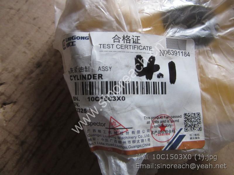 油缸 10C1503X0 (1)