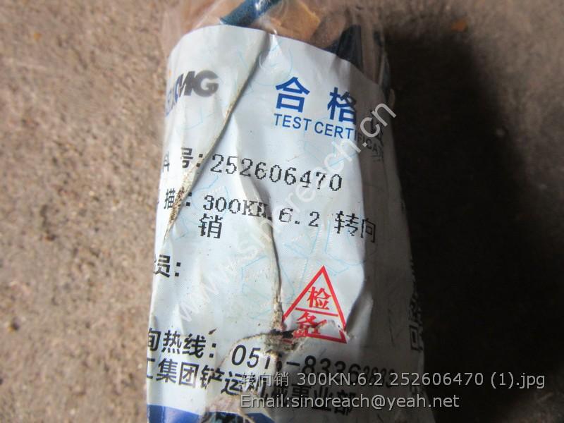 转向销 300KN.6.2 252606470 (1)
