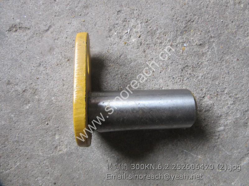 转向销 300KN.6.2 252606470 (2)