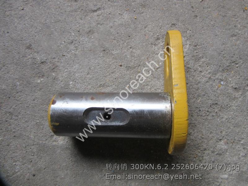 转向销 300KN.6.2 252606470 (7)