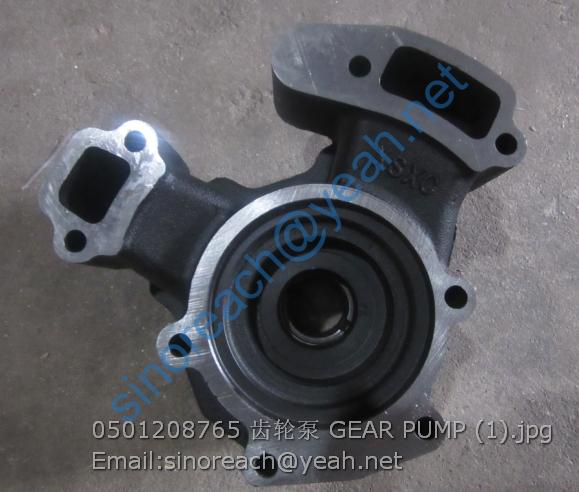 0501208765 齿轮泵 GEAR PUMP (1)