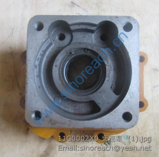 11C0002X0 变速泵 (1)