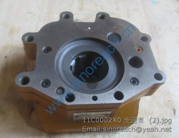11C0002X0 变速泵 (2)