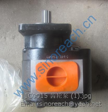 11C0015 齿轮泵 (1)