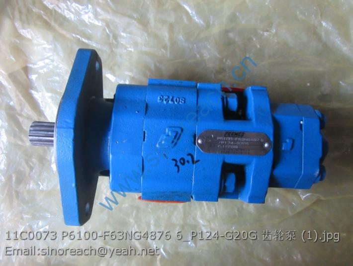 11C0073 P6100-F63NG4876 6_P124-G20G 齿轮泵 (1)