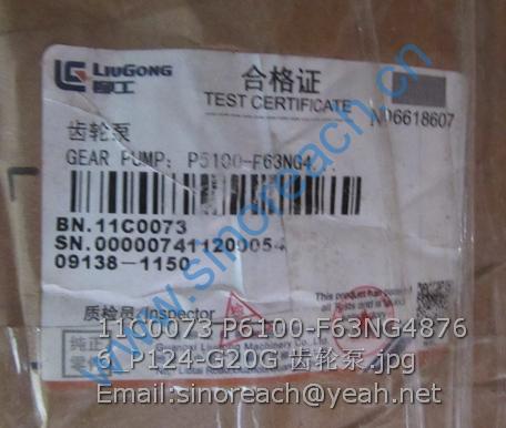11C0073 P6100-F63NG4876 6_P124-G20G 齿轮泵