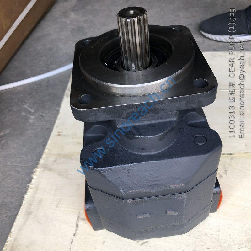 11C0318 齿轮泵 GEAR PUMP (1)