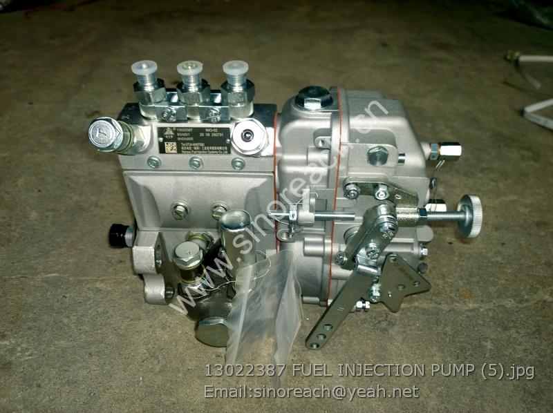 13022387 FUEL INJECTION PUMP (5)