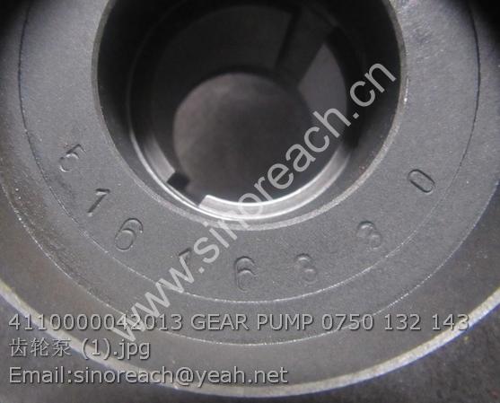 4110000042013 GEAR PUMP 0750 132 143 齿轮泵 (1)