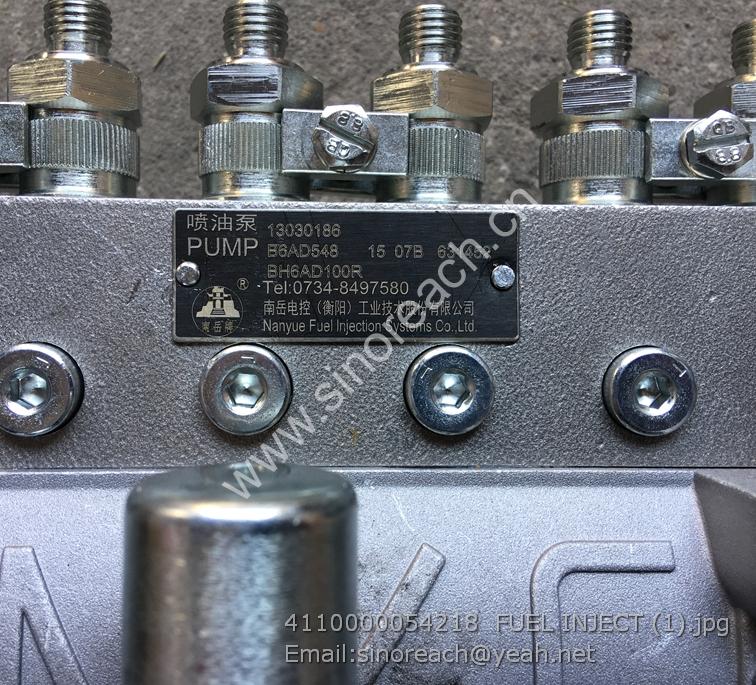 4110000054218 FUEL INJECT (1)