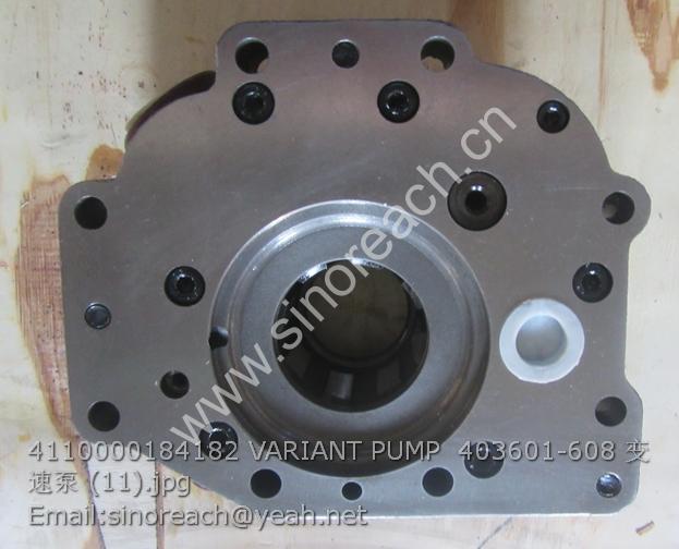4110000184182 VARIANT PUMP 403601-608 变速泵 (11)
