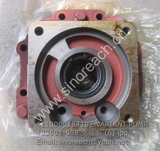 4110000184182 VARIANT PUMP 403601-608 变速泵 (6)