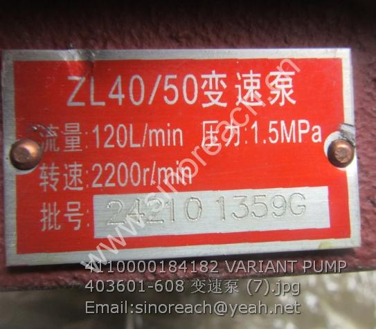 4110000184182 VARIANT PUMP 403601-608 变速泵 (7)