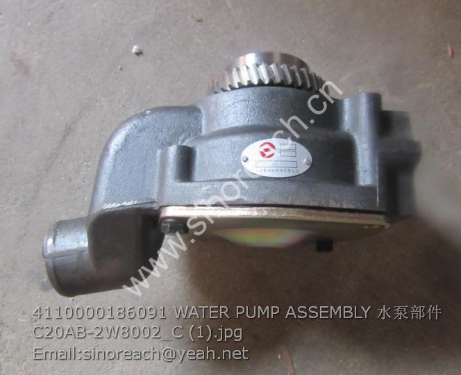 4110000186091 WATER PUMP ASSEMBLY 水泵部件C20AB-2W8002_C (1)