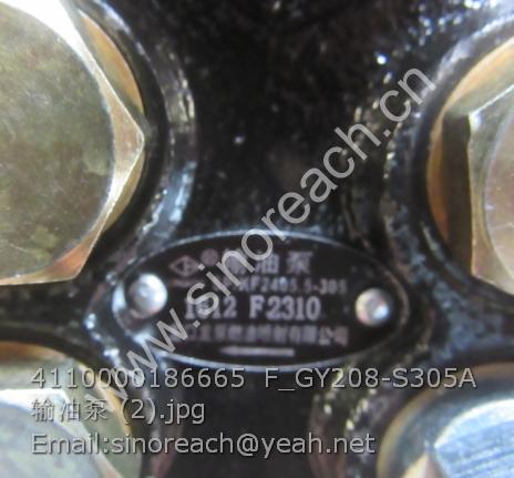 4110000186665 F_GY208-S305A 输油泵 (2)