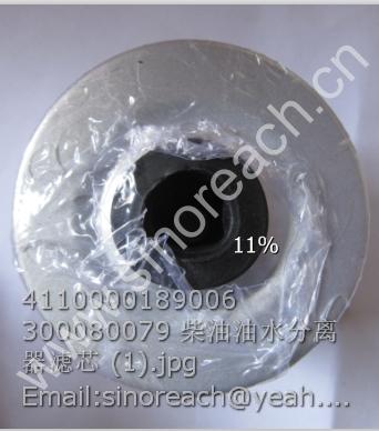 4110000189006 300080079 柴油油水分离器滤芯 (1)