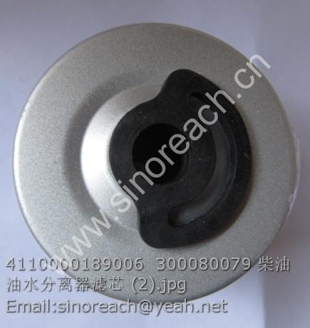 4110000189006 300080079 柴油油水分离器滤芯 (2)