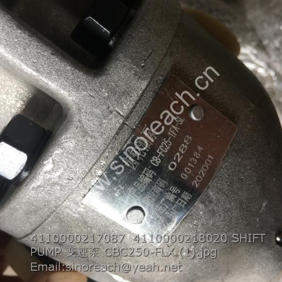 4110000217087 4110000218020 SHIFT PUMP 变速泵 CBC250-FLX (1)