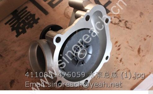 4110001475059 水泵总成 (1)
