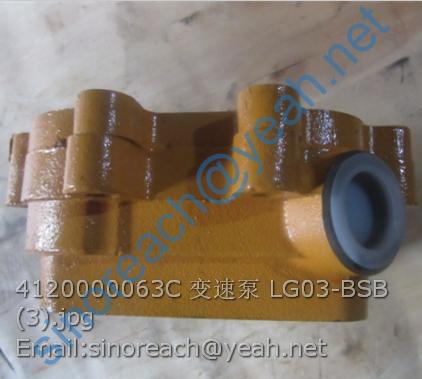 4120000063C 变速泵 LG03-BSB (3)