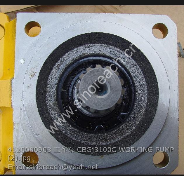 4120000903 工作泵 CBGj3100C WORKING PUMP (2)