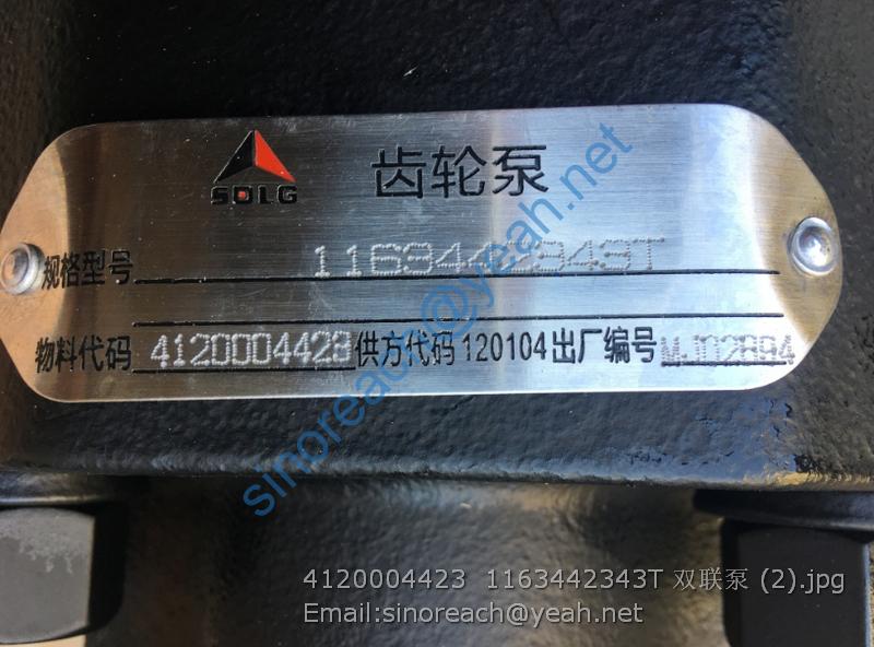 4120004423 1163442343T 双联泵 (2)