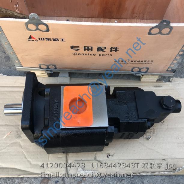4120004423 1163442343T 双联泵