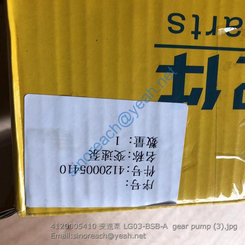 4120005410 变速泵 LG03-BSB-A gear pump (3)