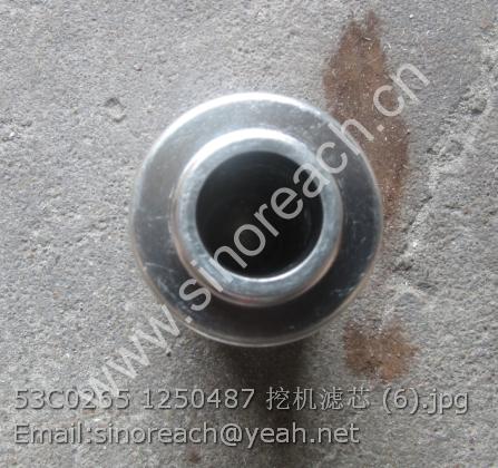 53C0265 1250487 挖机滤芯 (6)