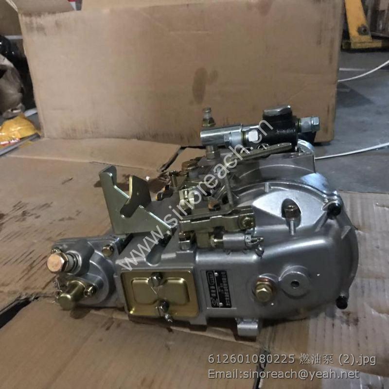 612601080225 燃油泵 (2)