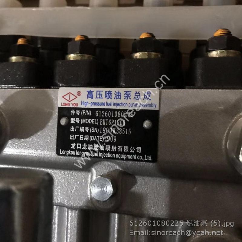 612601080225 燃油泵 (5)