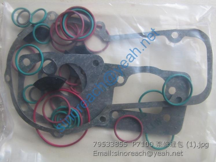 79533855 P7100 泵修理包 (1)
