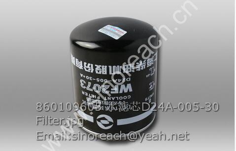 860109605 水滤芯D24A-005-30 Filter