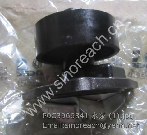 P0C3966841 水泵 (1)