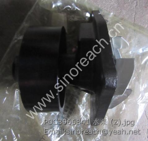 P0C3966841 水泵 (2)