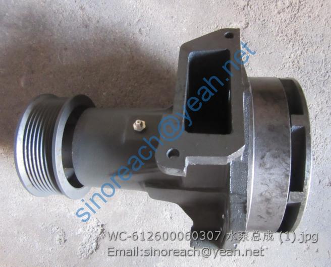WC-612600060307 水泵总成 (1)
