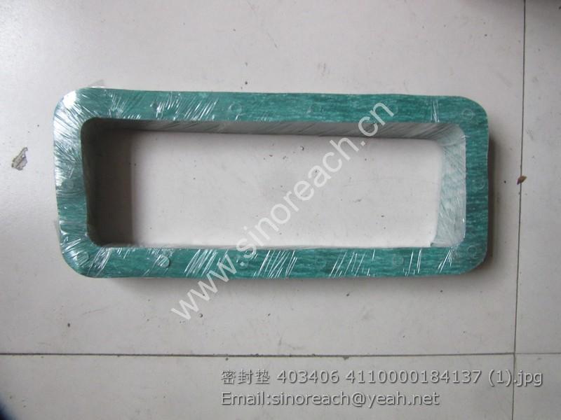 密封垫 403406 4110000184137 (1)
