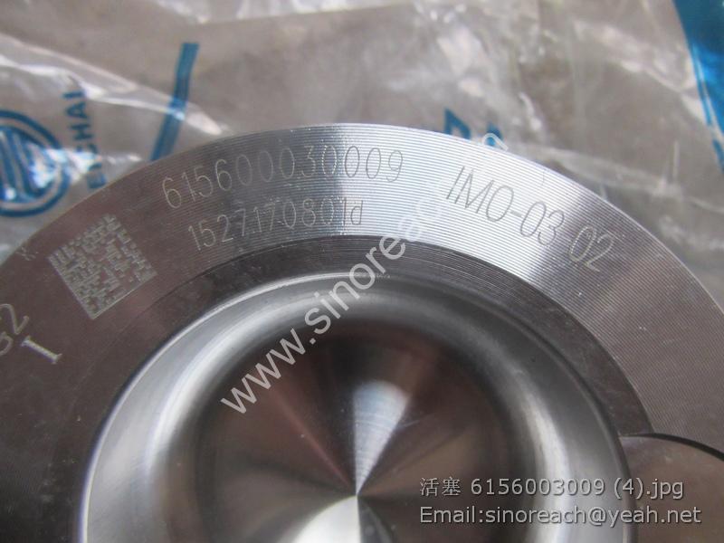 活塞 6156003009 (4)