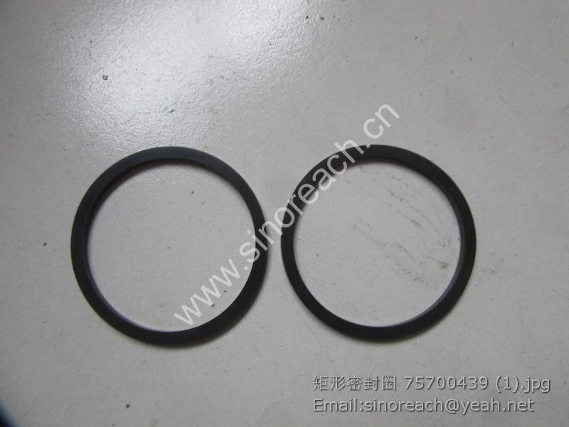 矩形密封圈 75700439 (1)