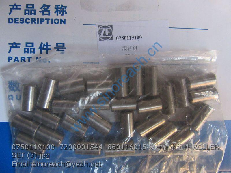 0750119100 7200001544 860116015 滚柱轴承组件 ROLLER SET (3)