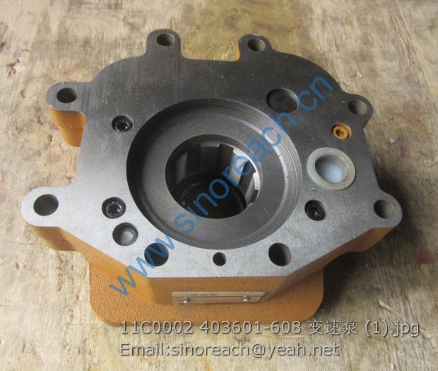11C0002 403601-608 变速泵 (1)