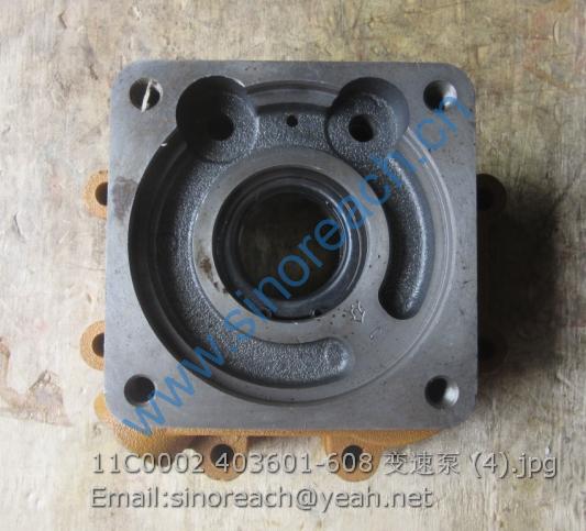 11C0002 403601-608 变速泵 (4)