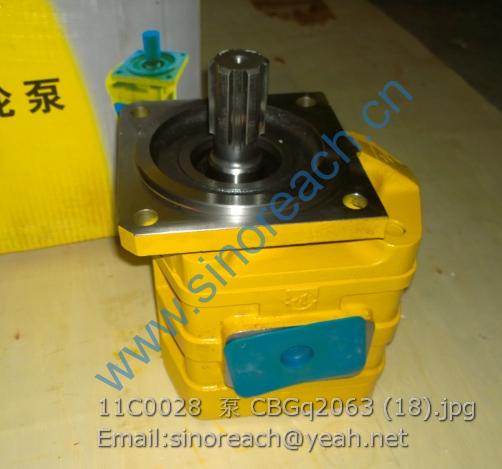 11C0028 泵 CBGq2063 (18)