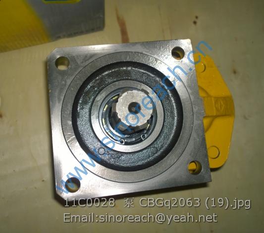 11C0028 泵 CBGq2063 (19)
