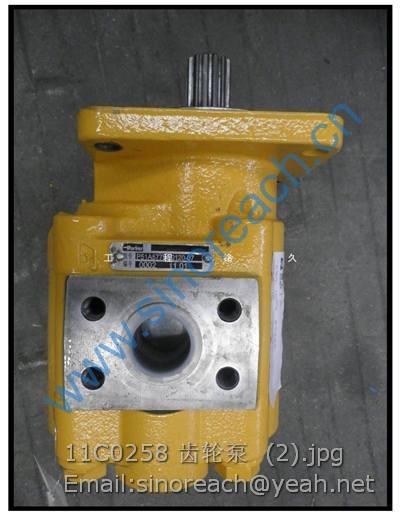 11C0258 齿轮泵 (2)