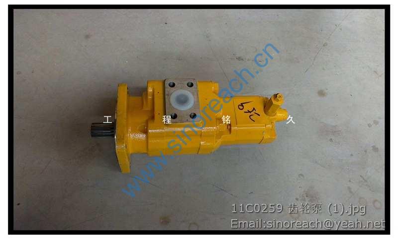 11C0259 齿轮泵 (1)
