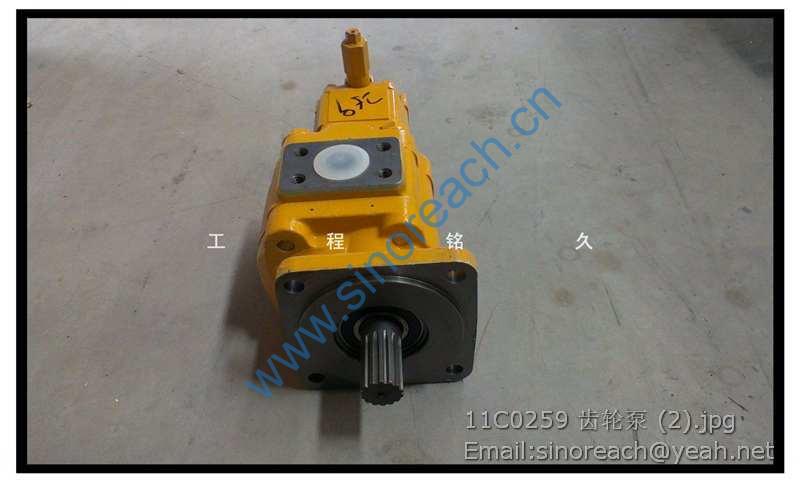 11C0259 齿轮泵 (2)