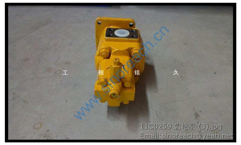 11C0259 齿轮泵 (3)