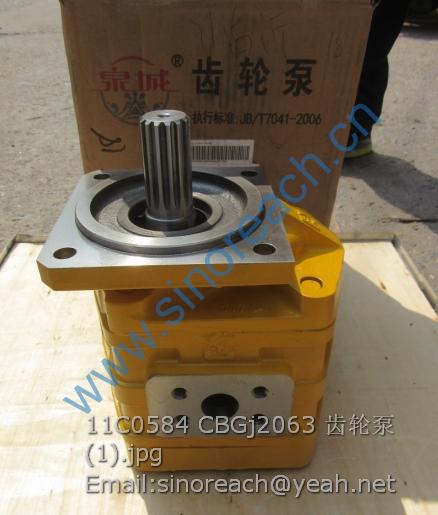 11C0584 CBGj2063 齿轮泵 (1)